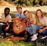 Ein schielender König der Tiere und eine freche Schimpansendame - dagegen ist schwer anzuspielen. Dr. Marsh Tracy (Marshall Thompson) und sein Team (Hari Rhodes, Cheryl Miller, Yale Summers.)in der afrikanischen Tierstation versuchen es ...