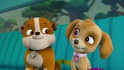 L-R: Rubble, Skye