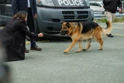 Rex (DIESEL VOM BURGIMWALD) bringt den Handy-Jammer nach draußen zu Sarah (MAYKO NGUYEN) und dem Team.