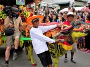 Das Carabao-Festival in Pulilan. Über 1000 Büffel (Carabaos) werden für die Prozession zu Ehren des Heiligen Sankt Isidor geschmückt.