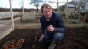 David Domoney +++ Die Verwendung des sendungsbezogenen Materials ist nur mit dem Hinweis und Verlinkung auf RTL+ gestattet.