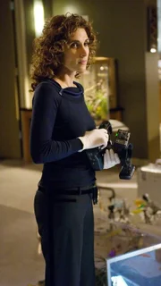 Während eines Abschlussballs wurde im benachbarten Chemielabor ein Vertrauenslehrer brutal erschlagen. Stella Bonasera (Melina Kanakaredes) untersucht den Tatort.