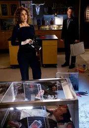 Stella Bonasera, (Melina Kanakaredes)