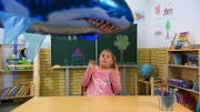 Der Flying Shark, ein schwebendes Spielzeug aus den USA.