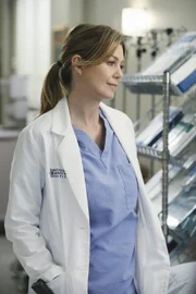 Während sich Meredith (Ellen Pompeo) über eine gute Nachricht freut, bricht plötzlich eine Katastrophe von nie dagewesenem Ausmaß über das Krankenhaus herein ...