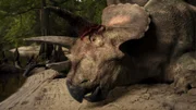 Der Triceratops, den Robert De Palma in Tanis fand, war bereits vor dem Einschlag tot.