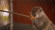 Oli und Davina versorgen vor dem aufkommenden Sturm alle Tiere