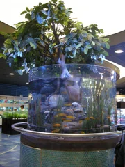 Fish tank.