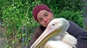 Pelikandame Dori mit ihrer Pflegerin Ronja.
