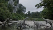 Die Glacialisaurier waren vermutlich die Hauptbeute des Cryolophosaurus. Aber längst nicht jede Jagd ging zu seinen Gunsten aus. Die Glacialisaurier waren gute Läufer und erreichten im Sprint um die 40 Kilometer pro Stunde.