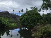 Inland von Nuku Hiva (Französisch-Polynesien) mit Fluß und Bergen im Hintergrund.