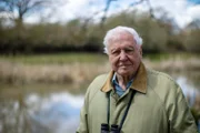 Der britische Naturforscher und Tierfilmer Sir David Attenborough war 2020 entscheidend an der Gründung des "Earthshot Prize" beteiligt und ist neben Prinz William Presenter der Doku-Reihe.
