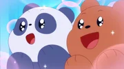 Baby Panda, Baby Grizz