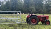 Hinter Gittern sicher durchs Spreewalddorf.
