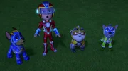 v.li.: Chase, Ryder, Rubble, Rocky