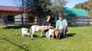 Nicki und Sepp Hanrieder vom Erlebnis-Bauernhof bei Freising lieben alle ihre Tiere, besonders die kleinen Ziegen. Heute werden ihnen die Hufe geschnitten, den Schafen geht es an die Wolle.