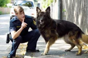 Polizeihund Hasso hört nicht auf Polizist Meier (Lars Weström).