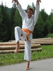 Der Moderator Willi Weitzel glaubt, er könne mit Karate versuchen, Holz zu spalten.