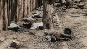 Greatest Events of WW2_Wendepunkte des Zweiten Weltkriegs Ep_10_Hiroshima GEWW2 HIROSHIMA Bodies in the streets of Japan following the bombingsGreatest Events of WW2_Wendepunkte des Zweiten Weltkriegs Ep_10_Hiroshima GEWW2 HIROSHIMA Bodies in the streets of Japan following the bombings