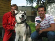 Willi Weitzel im Tierheim München. Hier landen Hunde, die kein Zuhause mehr haben.