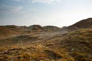 Dünenlandschaft.