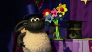 Timmy