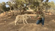 Leyton Cougar aka The Wolf Daddy, with his arctic wolf.