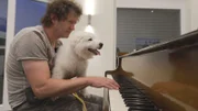 Der Weißer Schäferhund-Welpe Falco zieht beim blinden Pianisten Wolfgang ein. Die Verwendung des sendungsbezogenen Materials ist nur mit dem Hinweis und Verlinkung auf RTL+ gestattet.