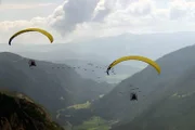 Die von Menschenhand aufgezogenen Waldrappe sind so auf die Biologinnen geprägt, dass sie sogar deren Leichtflugzeug über die Alpen nach Italien folgen.