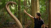 Kyra (Kimie Tsukakoshi) ist sicher, das die steinerne Kobra einen Schlüssel zum "Tempel des purpurnen Lotus" bewacht. Sie versucht, die Schlange mit Magie dazu zu bewegen, den Schlüssel herauszugeben.