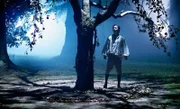 Endres entdeckt den geheimnisvollen Baum der weißen Schlange.