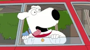 Brian Griffin