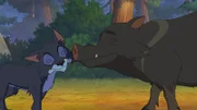 Pekari Grauer Kragen kümmert sich liebevoll um ein Wolfsjunges.