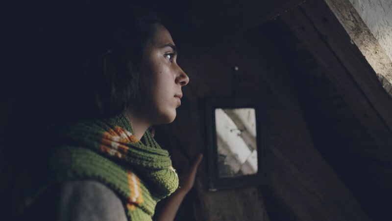 Anne Frank. Tagebuch einer Jugendlichen (F, 2025)