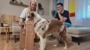 Natascha mit Australian Shepherd-Hündin "Hope" und Trainer Marcel Wunderlich.