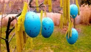 Waren die Ostereier früher wirklich bunter? Und der Frühjahrsputz gründlicher? Das Osterwetter sonniger und die Frühlingsgefühle euphorischer? Wie war die Zeit zwischen Ostern und Pfingsten in den vergangenen Jahrzehnten in Berlin wirklich? Der Film blickt zurück und zeigt viele fast vergessene Aufnahmen aus der Stadt an der Spree im Frühlingsrausch.