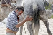 Der argentinische Pferdeflüsterer Oscar Scarpati vertritt die Philosophie der Gewaltlosigkeit bei der Zähmung von Pferden. Seiner Meinung nach brauchen die Tiere Verständnis und nicht, wie sonst oft üblich, Gewalt.