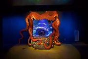 The finished Greensboro Science Center tank.