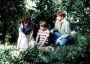 Mary Ellen (Judy Norton-Taylor, l.), der kleine Jeffrey (Keith Mitchell, M.) und ihr Bruder Ben (Eric Scott, r.) finden Reckless, den alten Hund der Waltons, tot im Wald.