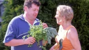 Als der scheinbar von Stefanie umerzogene Benno (Willi Thomcyzk) mit einem Bund frischer Kräuter um die Ecke kommt, ist Uschi (Antje Lewald) erschüttert. Was hat sie denn all die Jahre falsch gemacht?. Jetzt geigt sie ihm so richtig die Meinung...