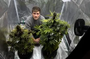 ARD Wissen-Reporter Frank Seibert kniet hinter zwei Cannabis-Pflanzen. Er untersucht, was sich in Kanada seit der landesweiten Cannabis-Freigabe 2018 getan hat.