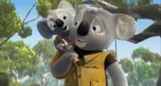 Blinky Bill - Das Meer der weißen Drachen - Blinky Bill - Das Meer der weißen Drachen 1 Der junge Koala Blinky Bill wäre am liebsten der größte Abenteurer von Greenville, genau wie sein Vater William, der einst das Städtchen als Rückzugsort für Tiere in Not gegründet hat.