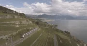 Lavaux