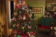 The tree of the Heck family