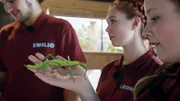 v. l. n. r.: Emilio, Leonie, Lina. Lina hält eine Wandelnde Bohne im Insektenhaus des Zoos in Leipzig.