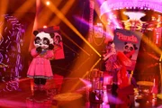 DER PANDA singt „My Head & My Heart” von Ava Max.