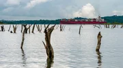 Wo heute Container-Riesen den Panama-Kanal durchqueren, war früher ein Wald.