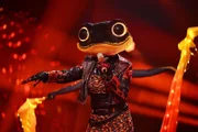 „Right here waiting“ singt DER FEUERSALAMANDER.