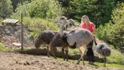Aus den Eiern ihrer Emus und Nandus macht Gucci-Bäuerin Nina Bartl Eierlikör.