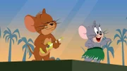 Jerry und Tuffy sind froh, dass sie sich heimlich ins Flugzeug geschlichen haben. Jetzt können auch sie einen schönen Urlaub genießen.